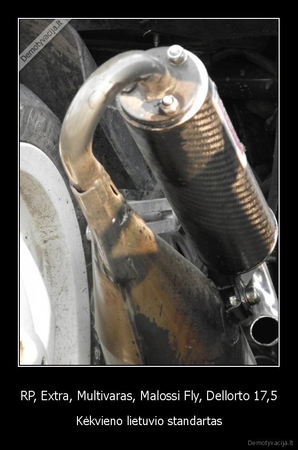 bobmintas, variklis, nors, ant, doku, 49cc, 70cc, inside