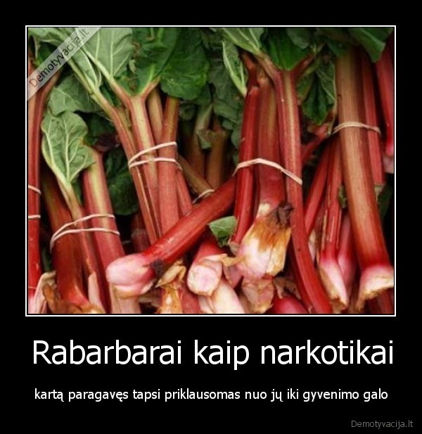 rabarbaras,be, cukraus,priklausomybe,narkotikai,manija