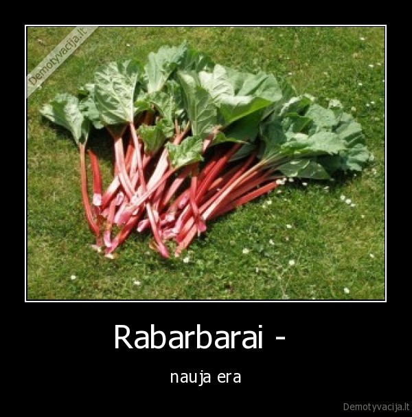rabarbarai, era, papai, papai, papai, papai