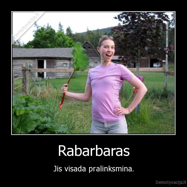 rabarbaras