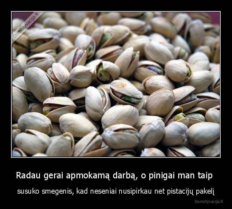 pinigai,pistacijos,darbas