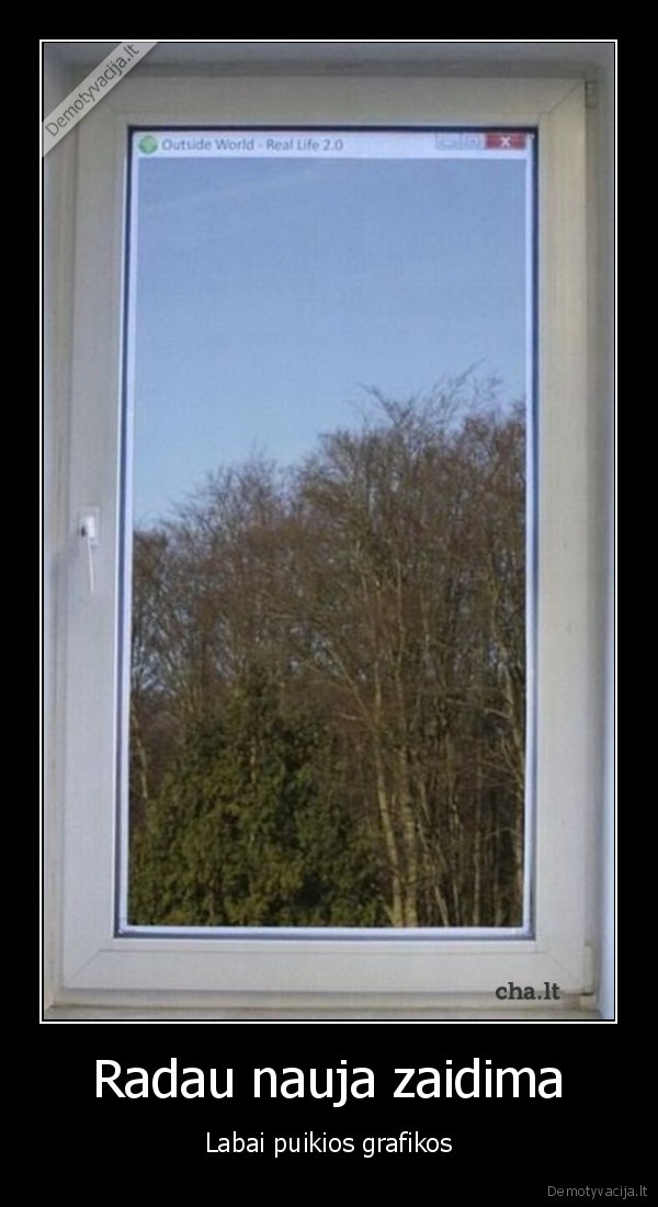 nolife, kompiuteriai, studentai