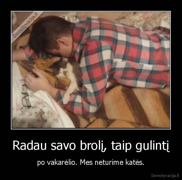 brolis,vakarelis,kate,katinas