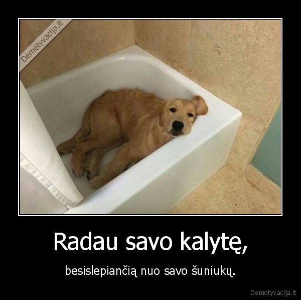 kalyte,suo,suniukai,pavargus