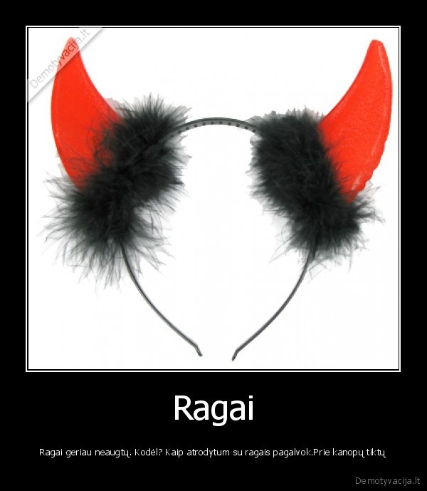 kanopos,gyvenimas,grozis