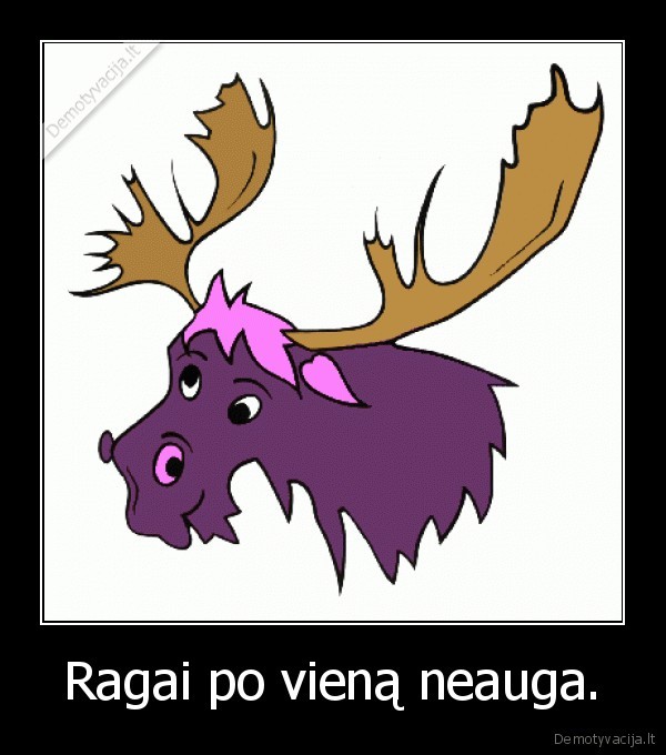 Ragai po vieną neauga.