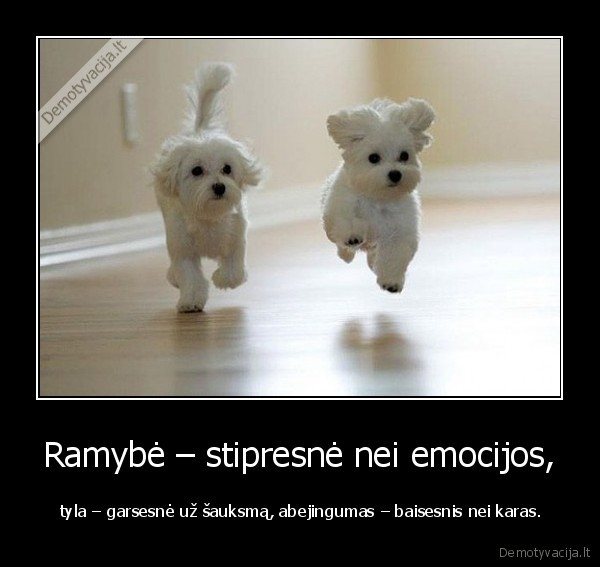 Ramybė – stipresnė nei emocijos,