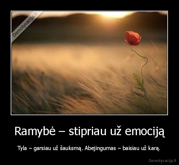 ramybe,tyla,abejingumas,psichologija