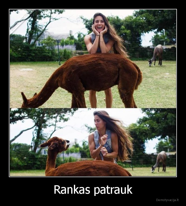 rankos,patrauk,lama