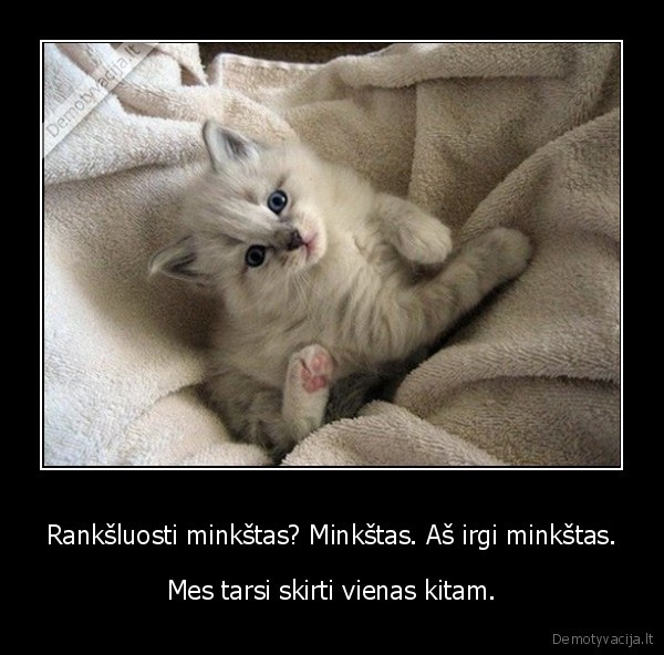 mielas, kaciukas,minkstas, ranksluostis