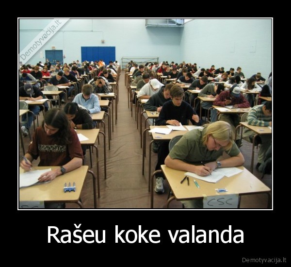 raseu,zvengeu,egzaminas