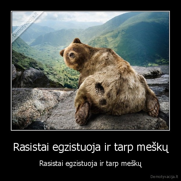 Rasistai egzistuoja ir tarp meškų