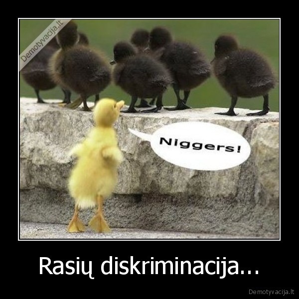 Rasių diskriminacija...