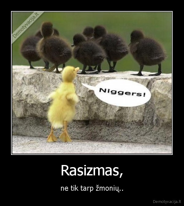 rasizmas,visciukas