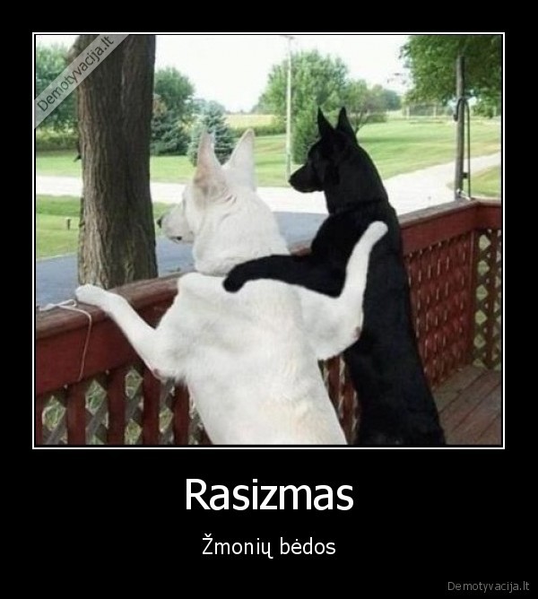 radau, 20ct, nusipirkau, gumos