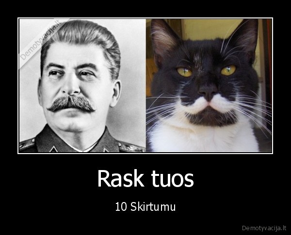 stalinas, kate, kubilius