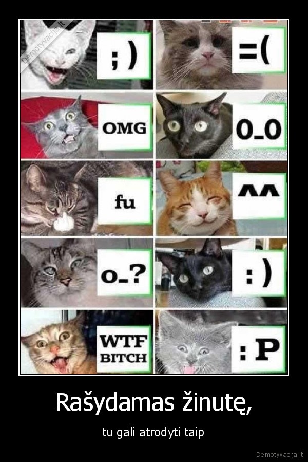 zinutes, rasymas,sms