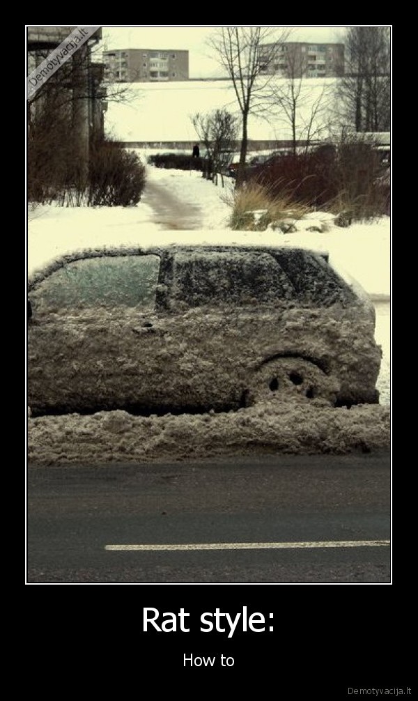 rat, style, auto, po, sniegu