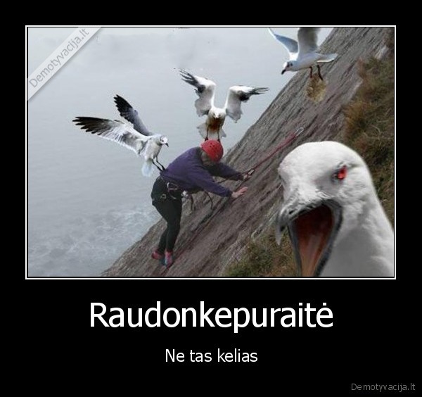 pasaka,humoras,raudonkepuraite,kalnai,kelias,pauksciai