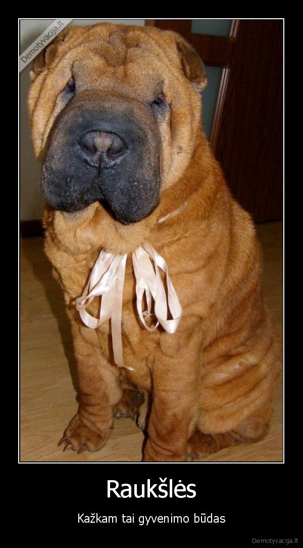 gyvenimas,rauksles,sarpejus,suo