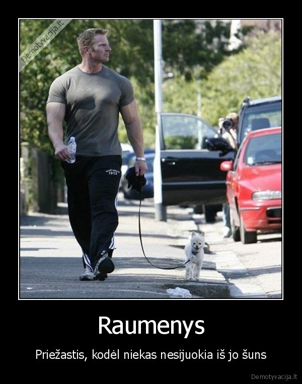 Raumenys