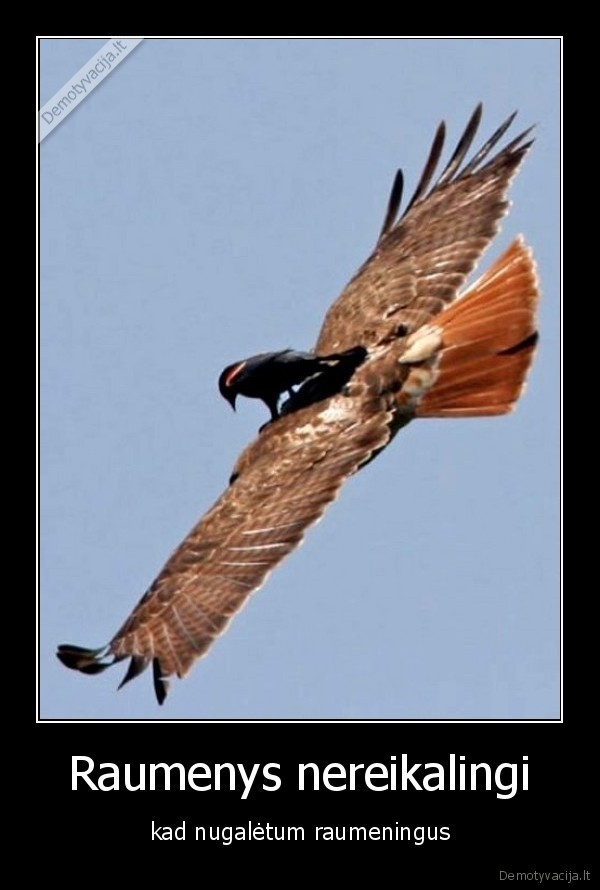 use, your, brain, you, fucking, dumbass