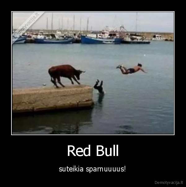 red, bull,energetinis, gerimas,sparnai,jautis,bulius,zmogus