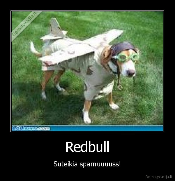 redbull