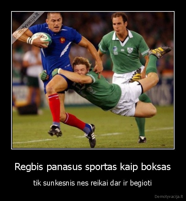Regbis panasus sportas kaip boksas