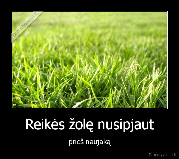 Reikės žolę nusipjaut
