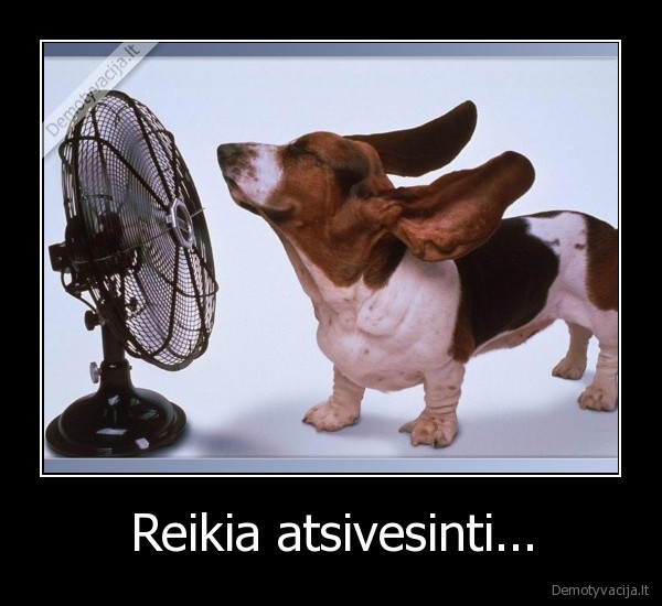 Reikia atsivesinti...