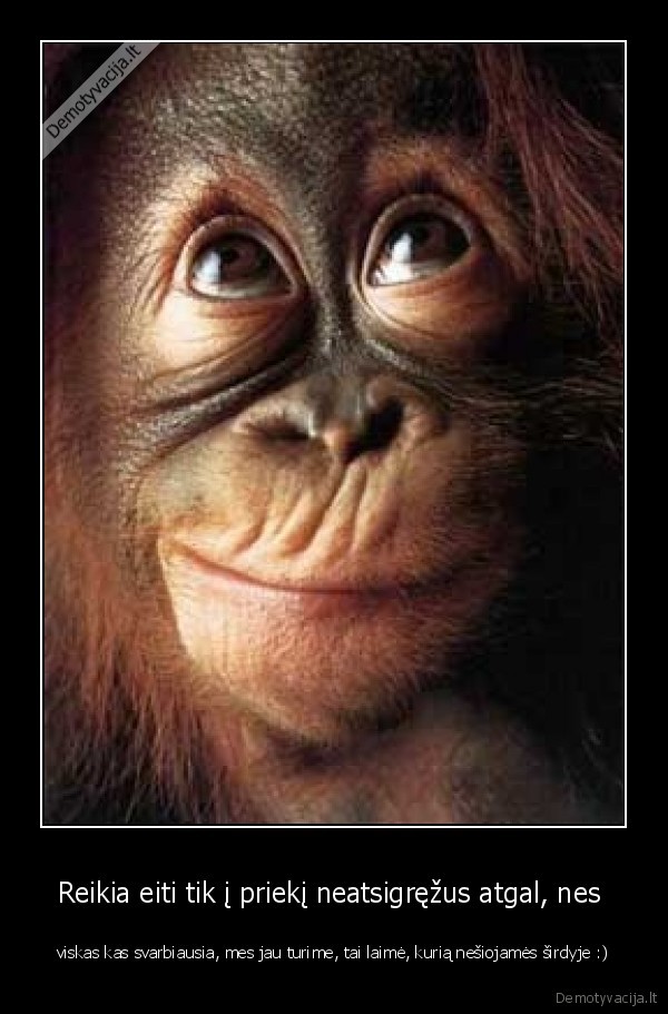 Reikia eiti tik į priekį neatsigręžus atgal, nes 