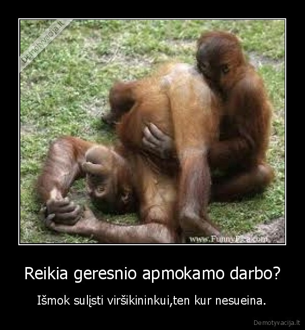 gyvenimas,darbas,virsininkas