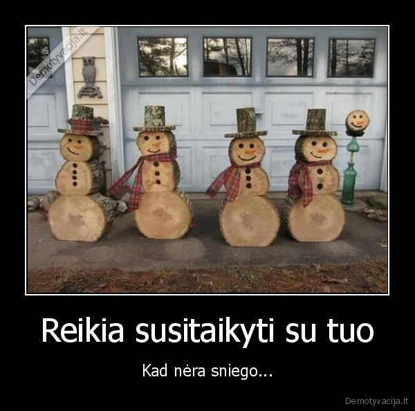 sniegas,besmegeniai,malkos