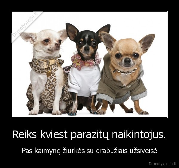 Reiks kviest parazitų naikintojus.