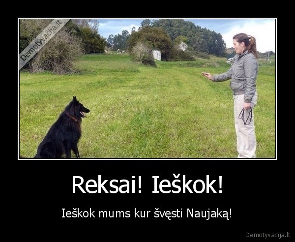 reksas,ieskoti,komanda