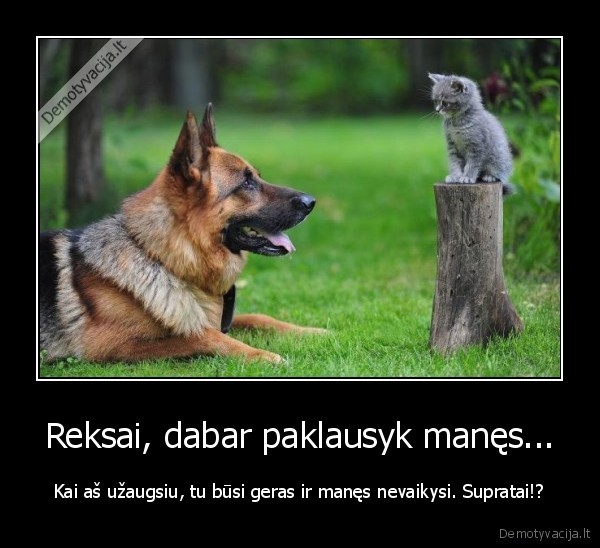 Reksai, dabar paklausyk manęs...