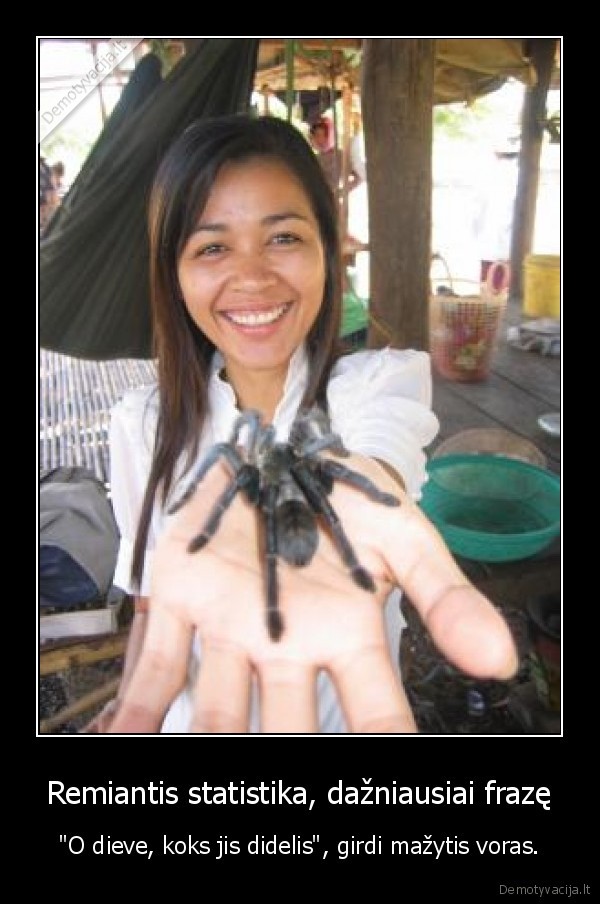 Remiantis statistika, dažniausiai frazę