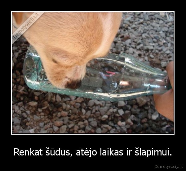 suo,butelis, slapimas