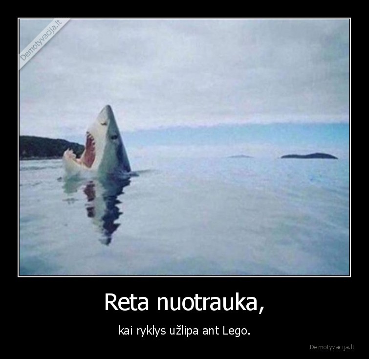 ryklys,nuotrauka,lego