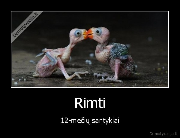 santykiai,mazvaikiai