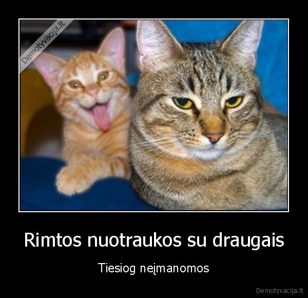 photobomb,nuotrauka, su, draugais,debilas, draugas