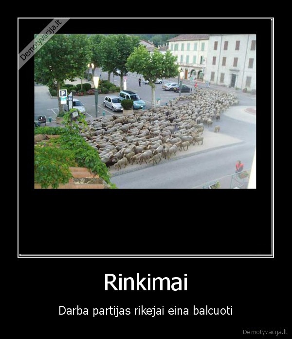 politika,darba, partija,rinkimai