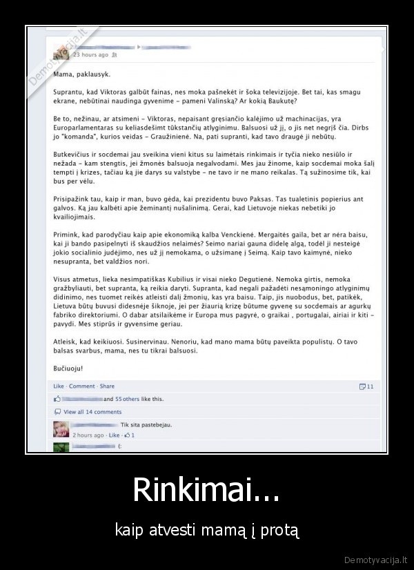 rinkimai,seimas,mama,patarimai,pazadai,populistai