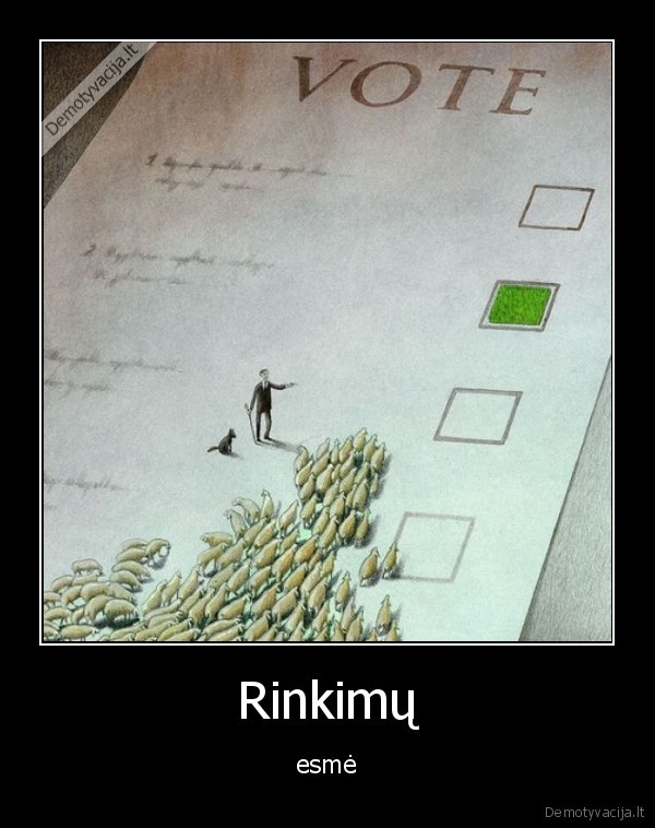 rinkimai,avis,banda,zole