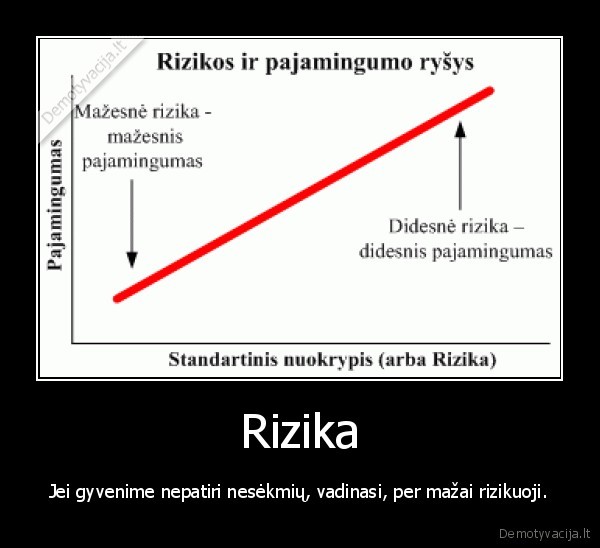 Rizika