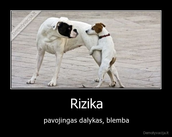rizika,suo,bando,du