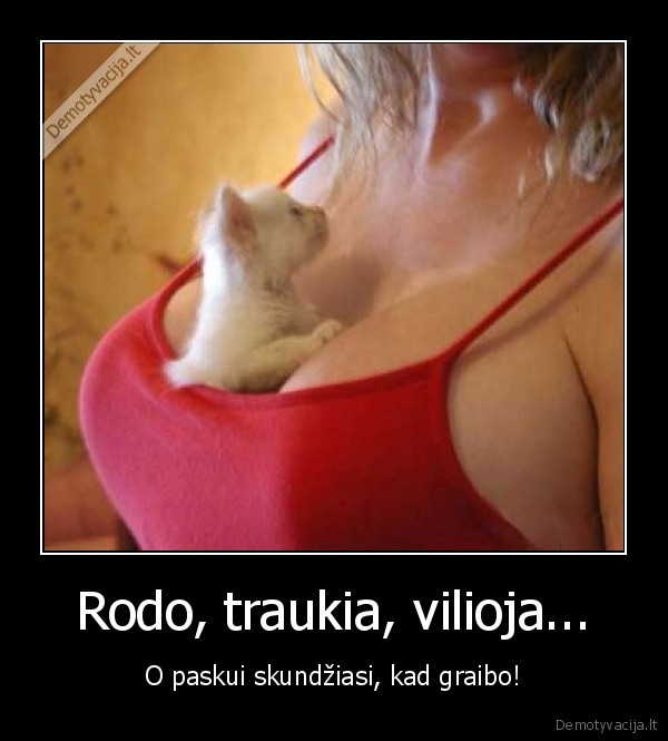 dideli,papai,katinui,pasiseke,rupuzei