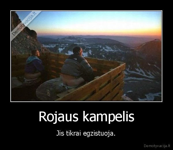 Rojaus kampelis