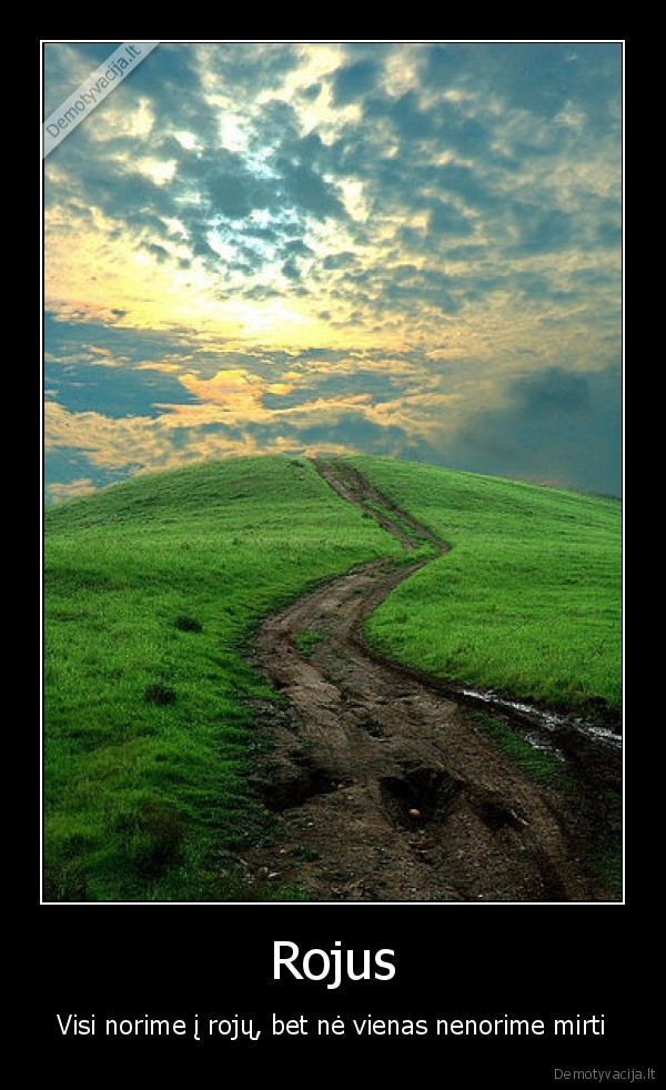 Rojus
